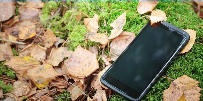 Mobilus telefonas ant žolės