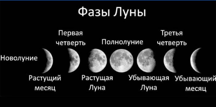 Mėnulio fazės