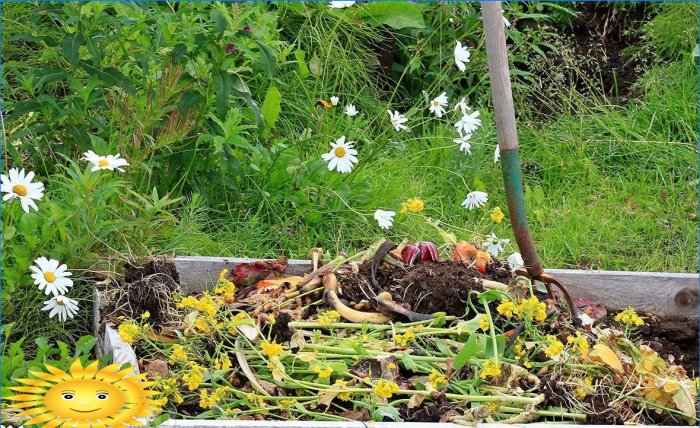 Ekologinis ūkininkavimas: sustabdykite dirvos smulkinimą kasdami ir ravėdami