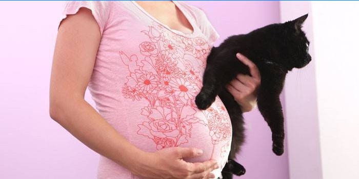 Nėščia mergina su katinu
