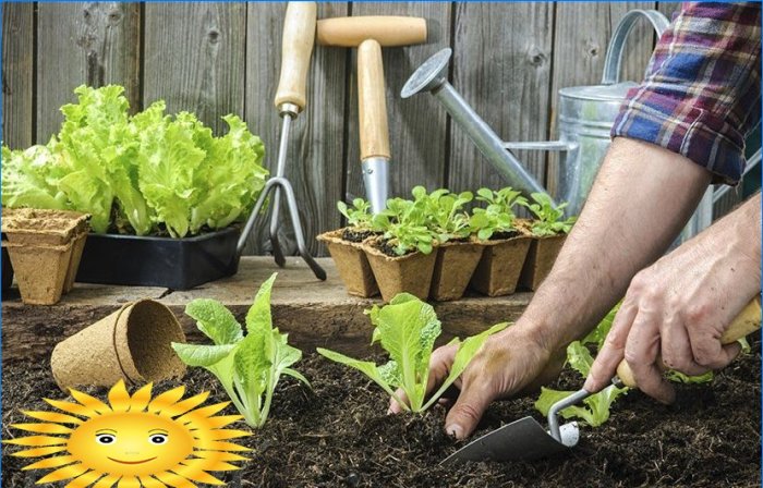 Sodo išdėstymas - ruošiasi sodinti daržoves į lovas