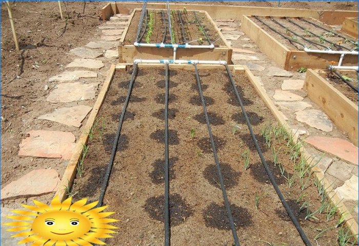 Sodo išdėstymas - ruošiasi sodinti daržoves į lovas