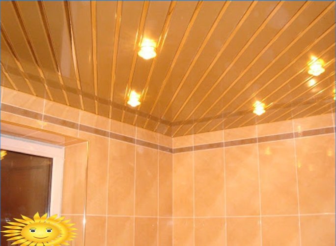 Lubų dizaino galimybės vonios kambaryje