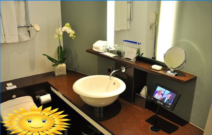 11 vonios kambario baldų idėjų
