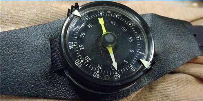 Karinio kompaso modelis