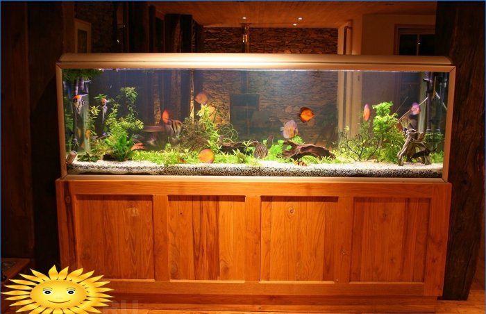 Povandeninė karalystė jūsų namuose - akvariumas interjere