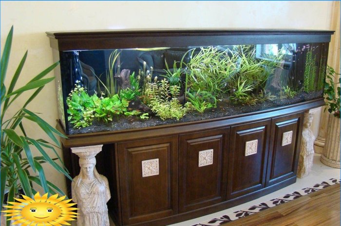 Povandeninė karalystė jūsų namuose - akvariumas interjere