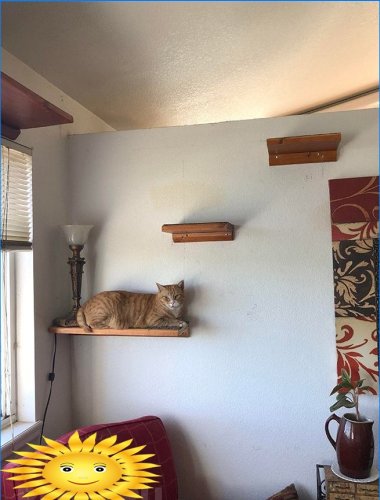 Kačių lentynos ant sienos