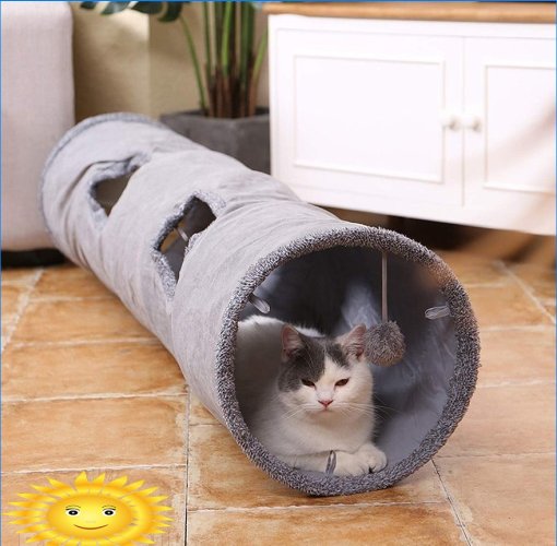 Katės tunelis