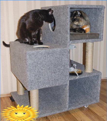 Kačių namų labirintas