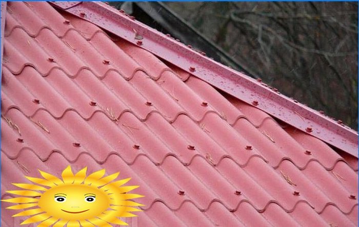 Keramoplastas: daug žadanti naujovė tarp stogo dangų medžiagų