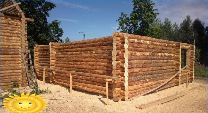 Kokią medieną pasirinkti rąstinio namo statybai
