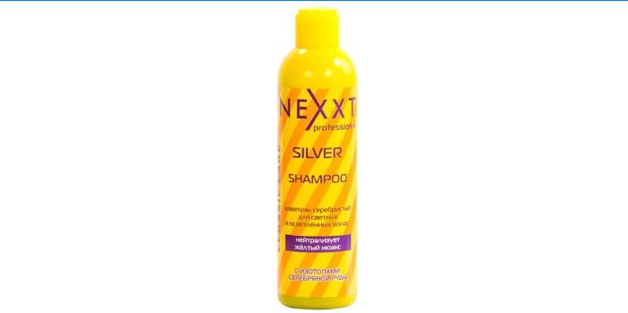„Nexxt Professional“ sidabras