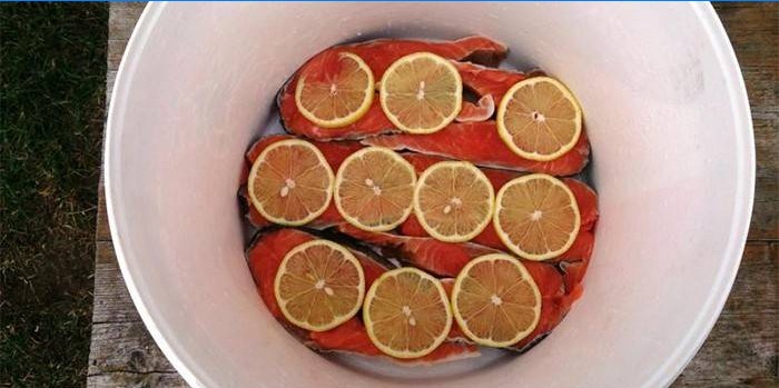 Raudona žuvis po marinatu su citrina