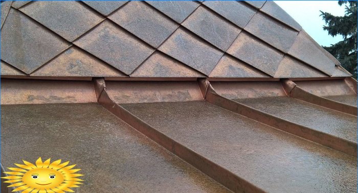 Metalinis stogas: šaškių lentos arba skydinis stogas
