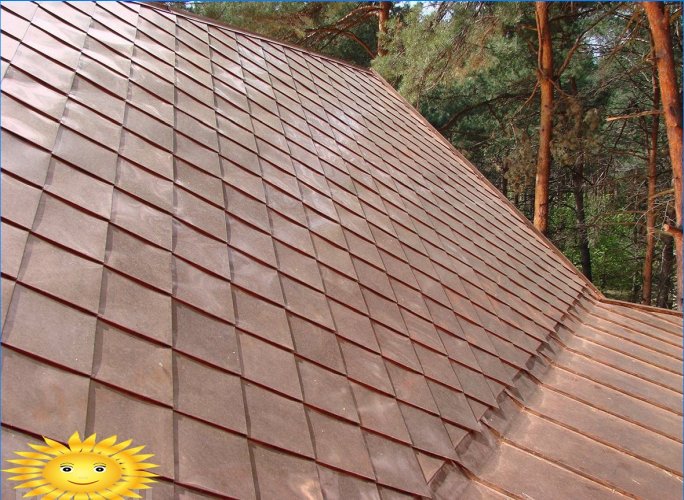 Metalinis stogas: šaškių lentos arba skydinis stogas