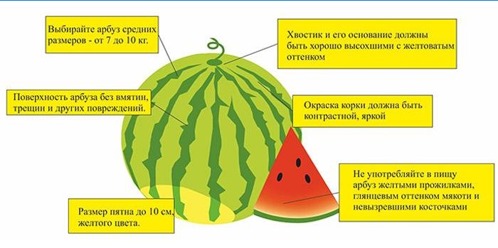 Kaip išsirinkti arbūzą