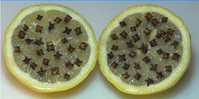 Perpus sumažinta citrina su gvazdikėliais