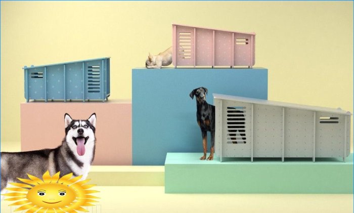Šunų namų kolekcija „Barkitecture“