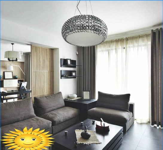 Modernūs ir klasikiniai šviestuvai gyvenamojo kambario interjere: 20 nuotraukų idėjų